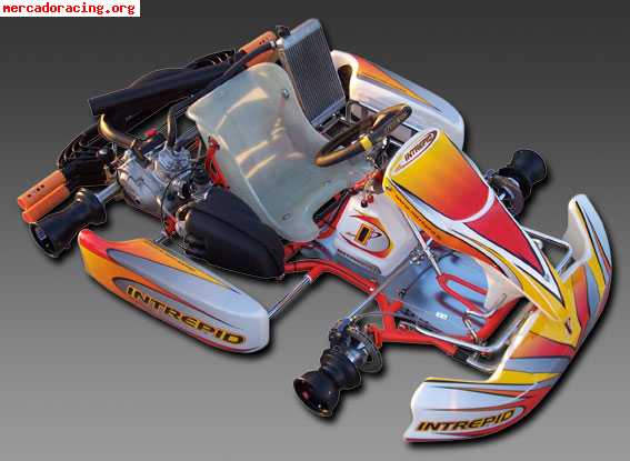 Kart intrepid rotax dd2