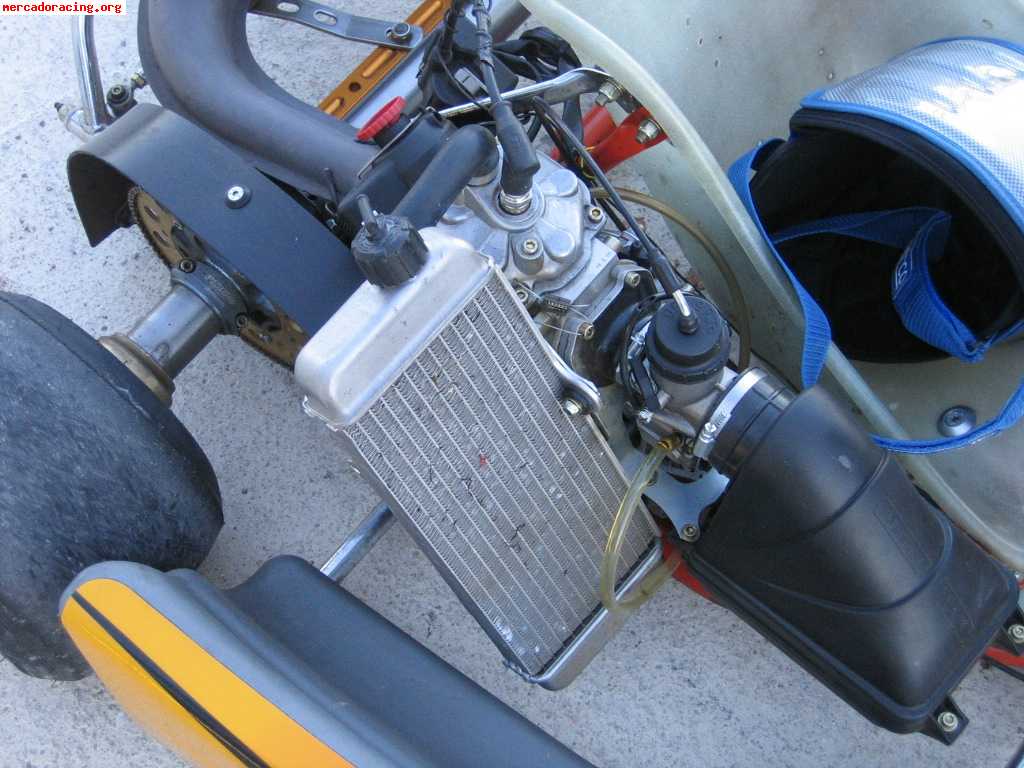 Motor rotax max fr 125 2008