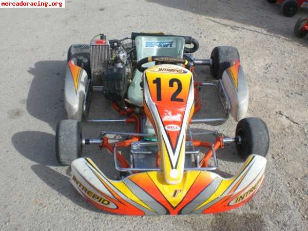 Se vende intrepid cruisser max con rotax max y mychron ¡¡2.3