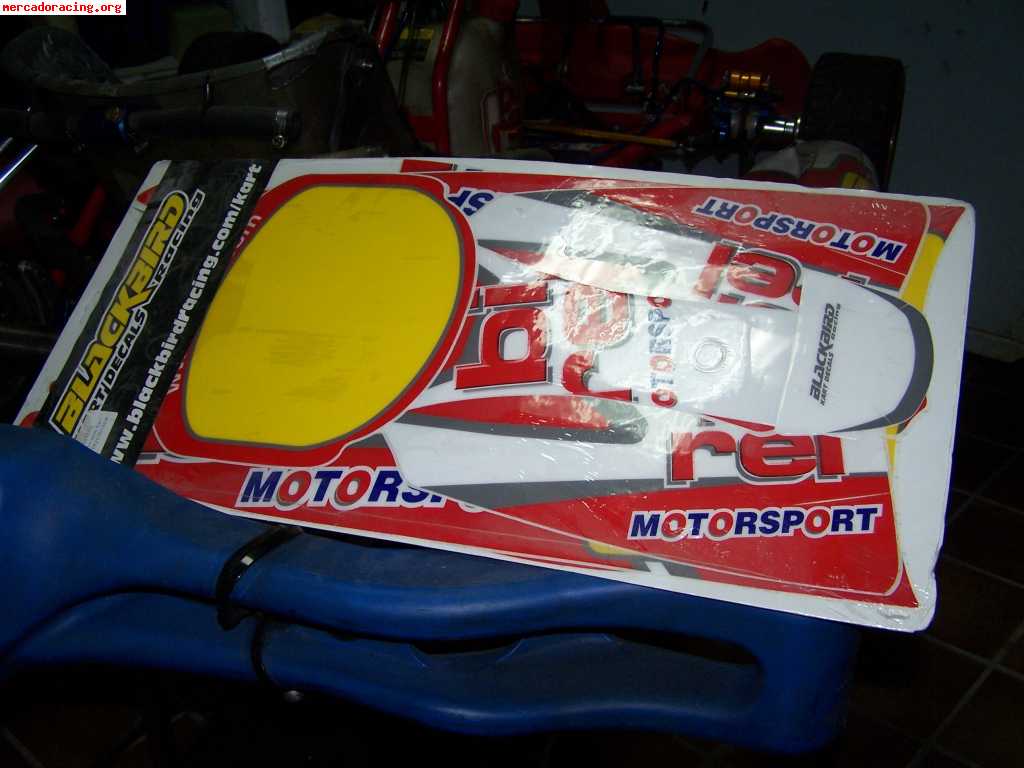 Vendo kart birel r 31