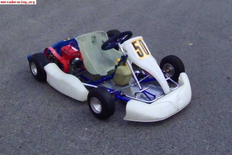 Kart alevin mba motor comer 80 cc.