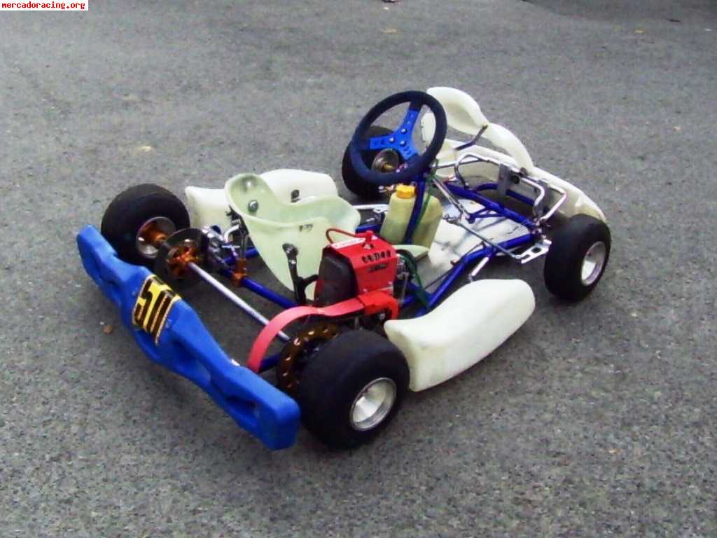 Kart alevin mba motor comer 80 cc.