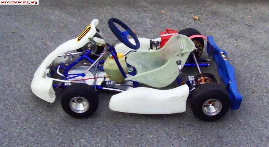 Kart alevin mba motor comer 80 cc.