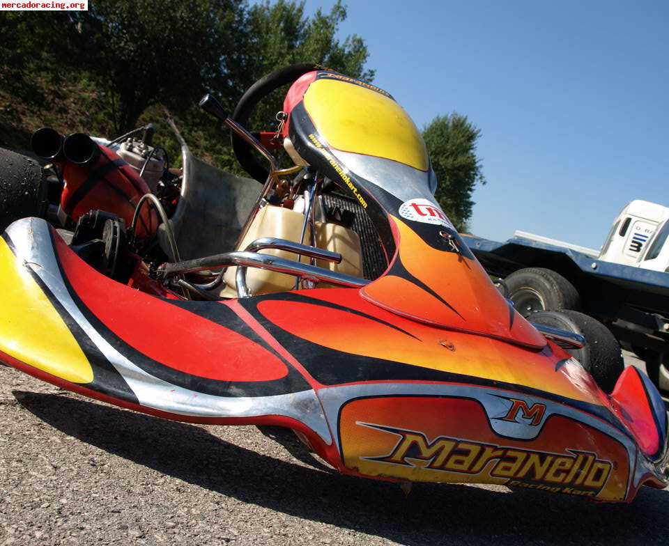 Vendo kart competicion de 6 merchas-maranello