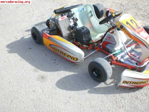 Vendo intrepid cruisser max con rotax max ¡¡2.300euros!!