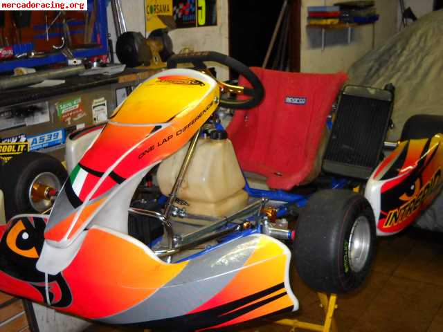 Se vende o se cambia kart 125cc marc wilson con motor sonic 