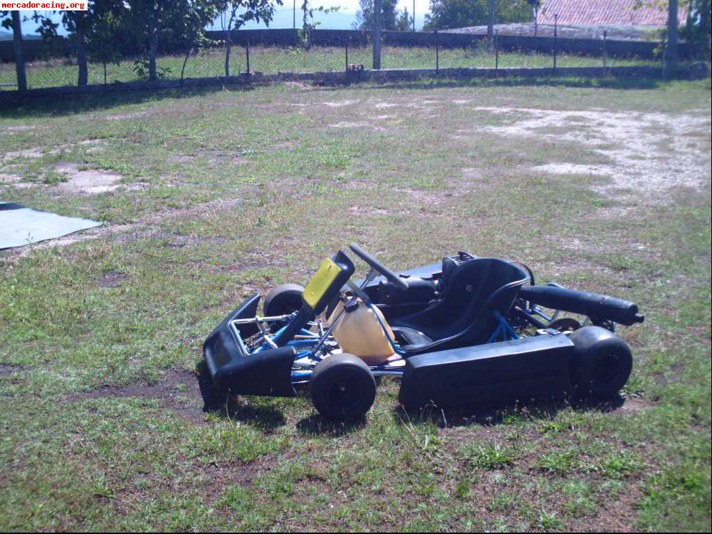 Vendo kart 100 c.c. directo