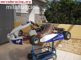 Vendo o cambio por coche kart pcr 100 junior iame eje de 50 
