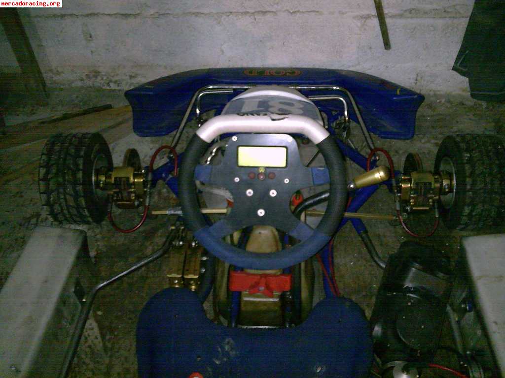 Kart gold con motor tm k9