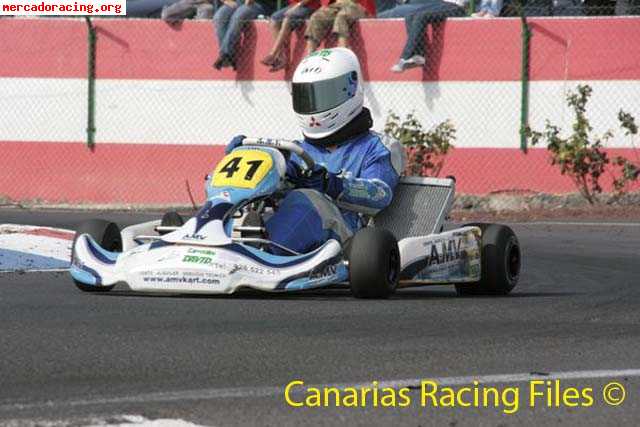 Se vende kart 125 automatico motor vortex rock