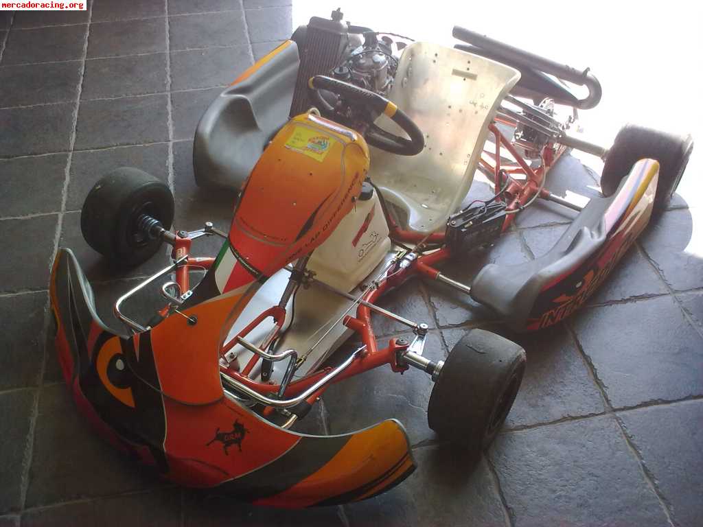 Intrepid silverstone pro rotax 125 año 2008  2000euros o cam