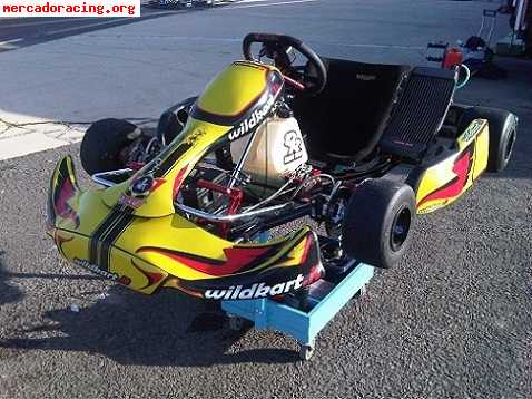 Wildkart fither ii del 2009 con tm k9b