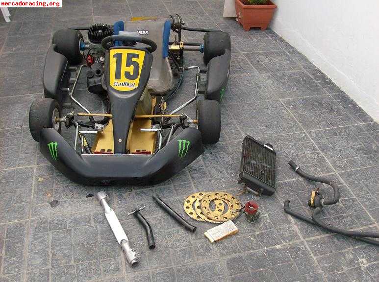 Vendo kart interesante