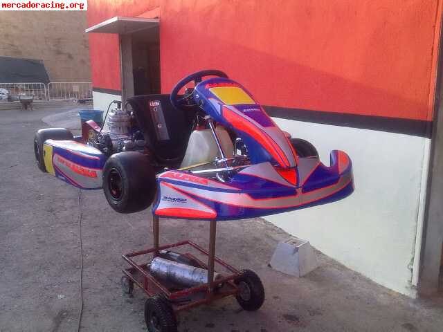 Kart alpha con motor x30