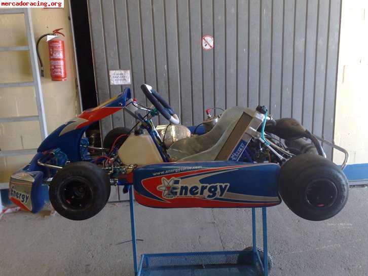 Kart energy kz2 motor tm k9b por 3.750 euros