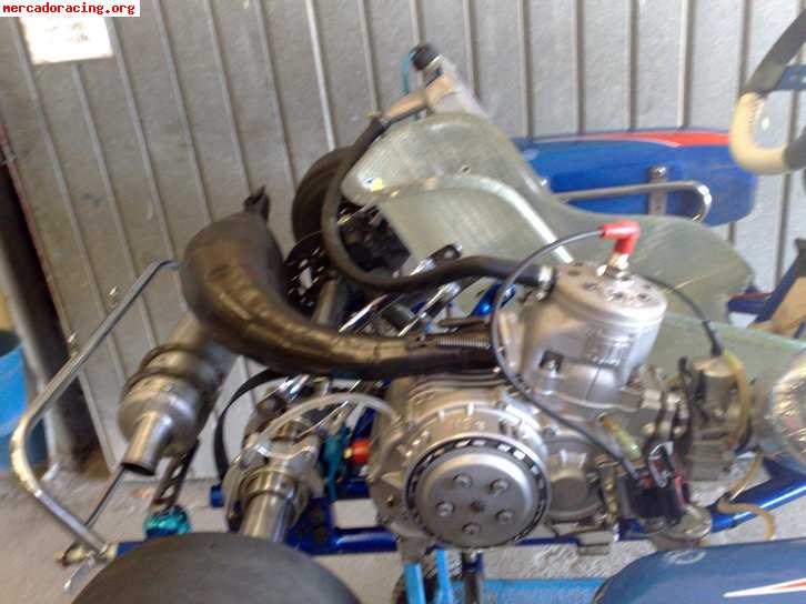 Kart energy kz2 motor tm k9b por 3.750 euros