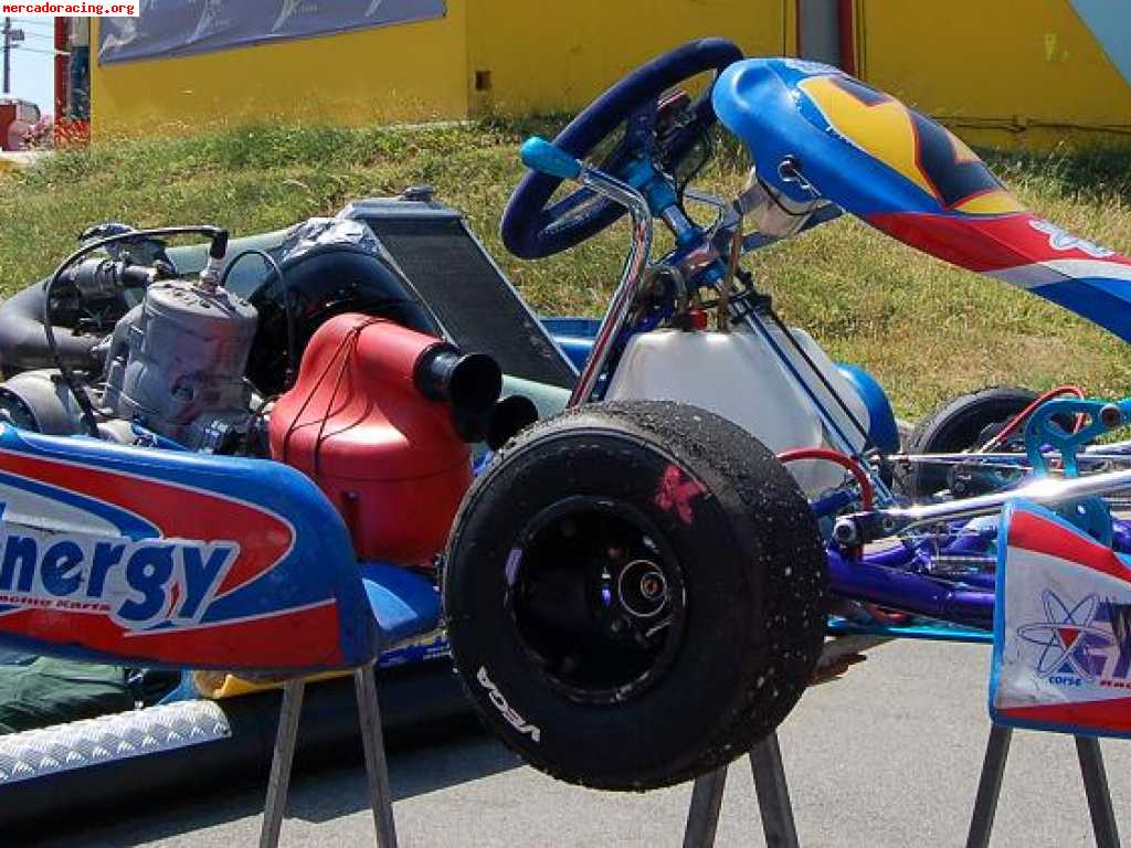 Vendo kart energy kinetic con tm k9c preparado por rizzi