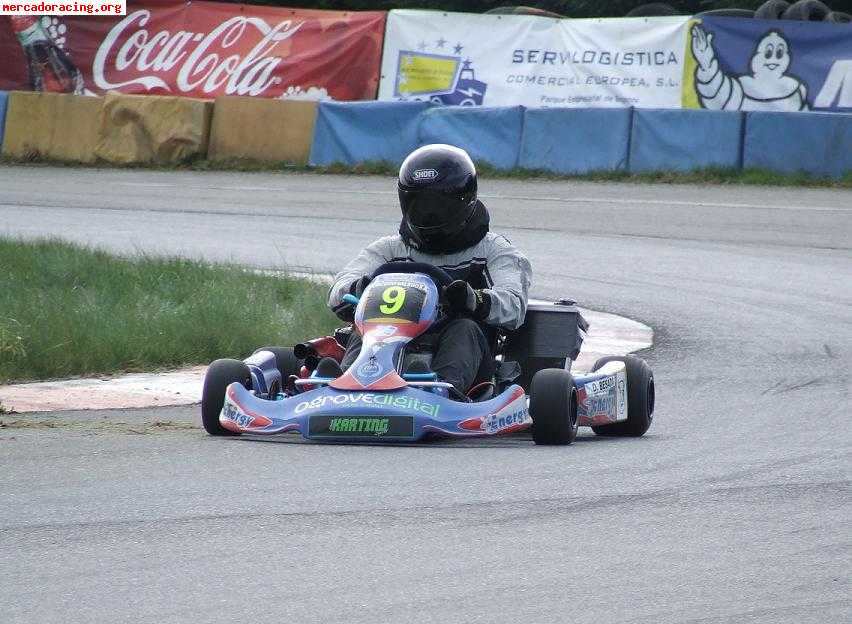 Vendo kart energy kinetic con tm k9c preparado por rizzi