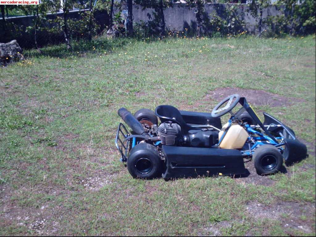 Vendo kart 100 c.c.