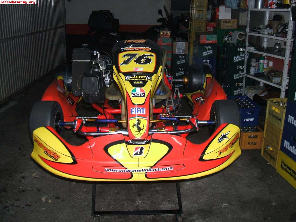 Birel con rotax max