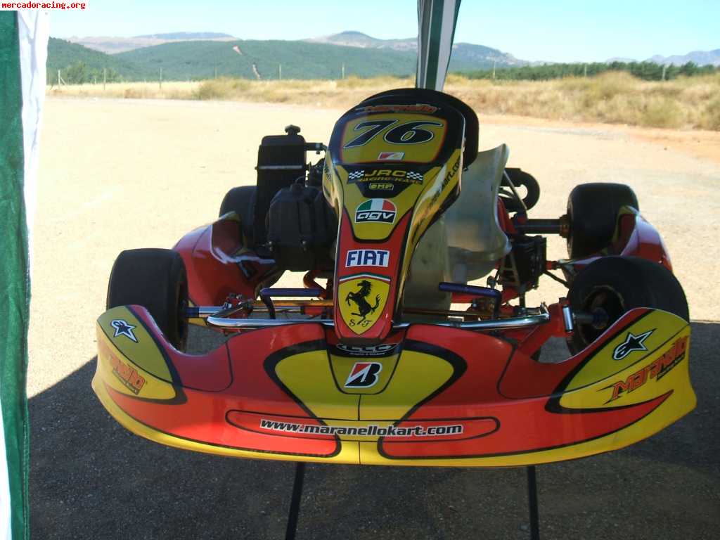 Birel con rotax max