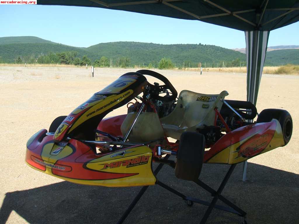 Birel con rotax max