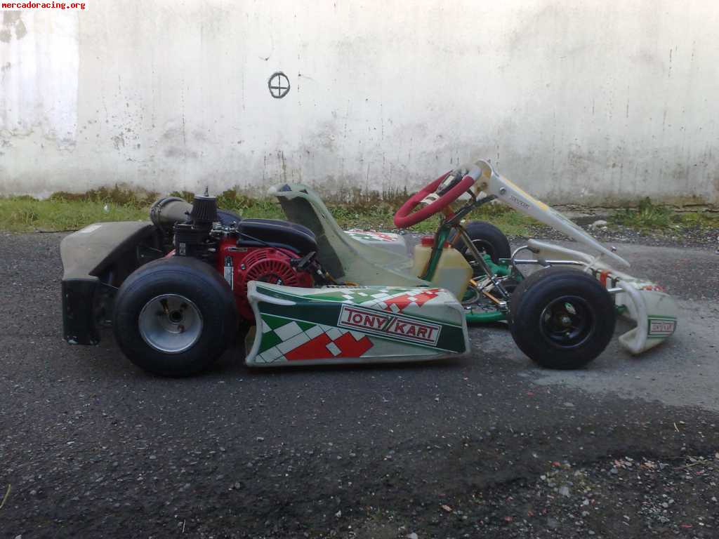 Tony kart cadete