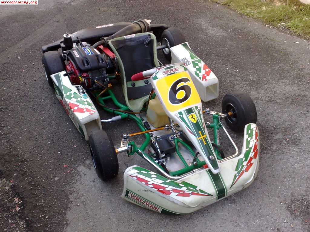 Tony kart cadete