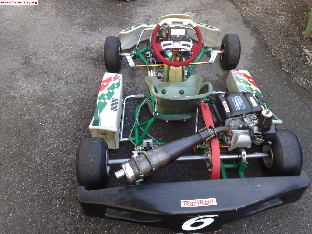 Tony kart cadete