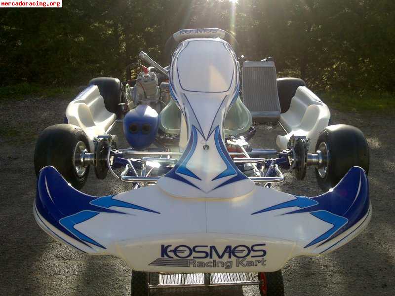 Kart nuevo a estrenar. chasis kosmos y motor a elegir.