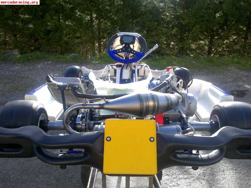 Kart nuevo a estrenar. chasis kosmos y motor a elegir.