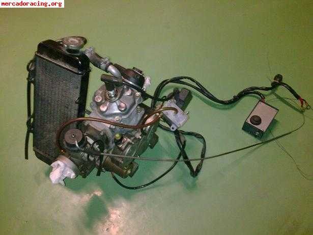 Vendo motor rotax max 160cc