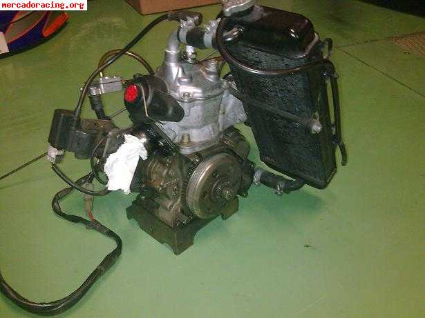 Vendo motor rotax max 160cc