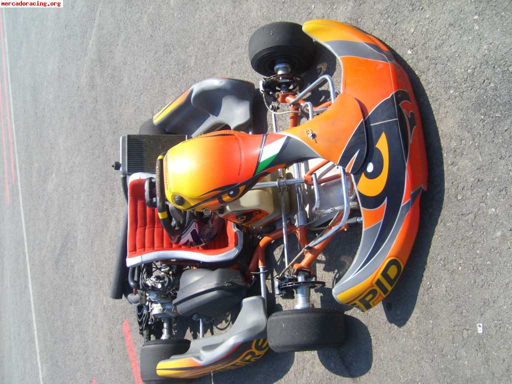 Kart intrepid rotax dd2 de finales del 2008 