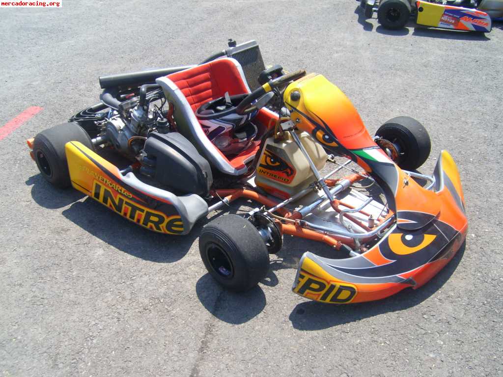 Kart intrepid rotax dd2 de finales del 2008 