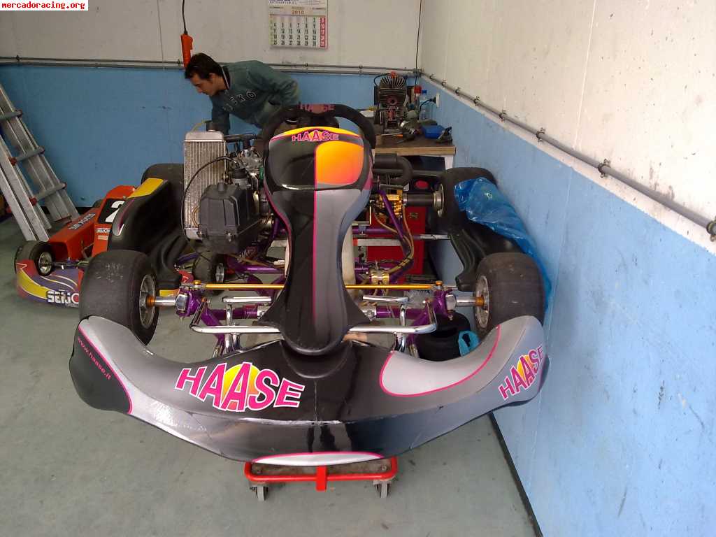 Vendo kart haase rotax max