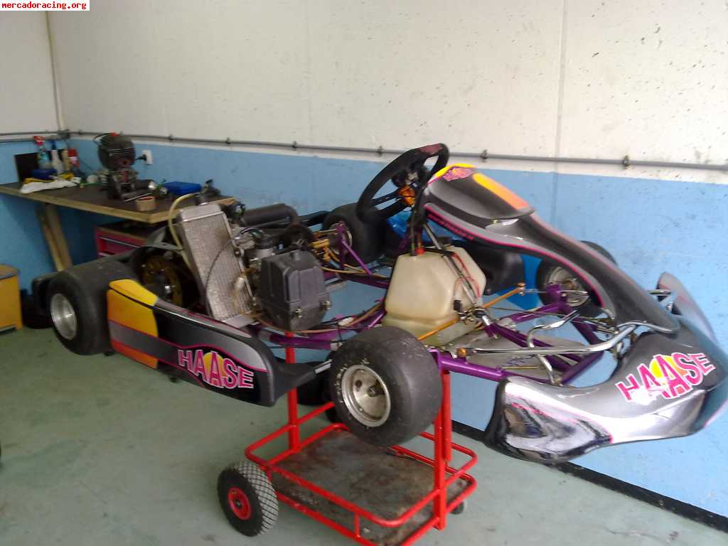 Vendo kart haase rotax max