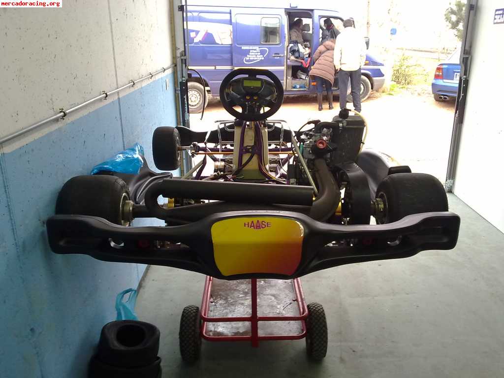 Vendo kart haase rotax max