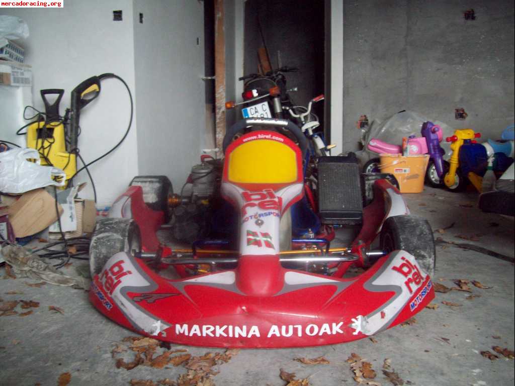 Se vende kart birel 100 cc.