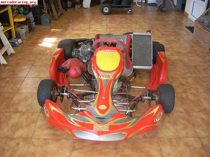 Vendo kart 125 marchas o cambio por coche