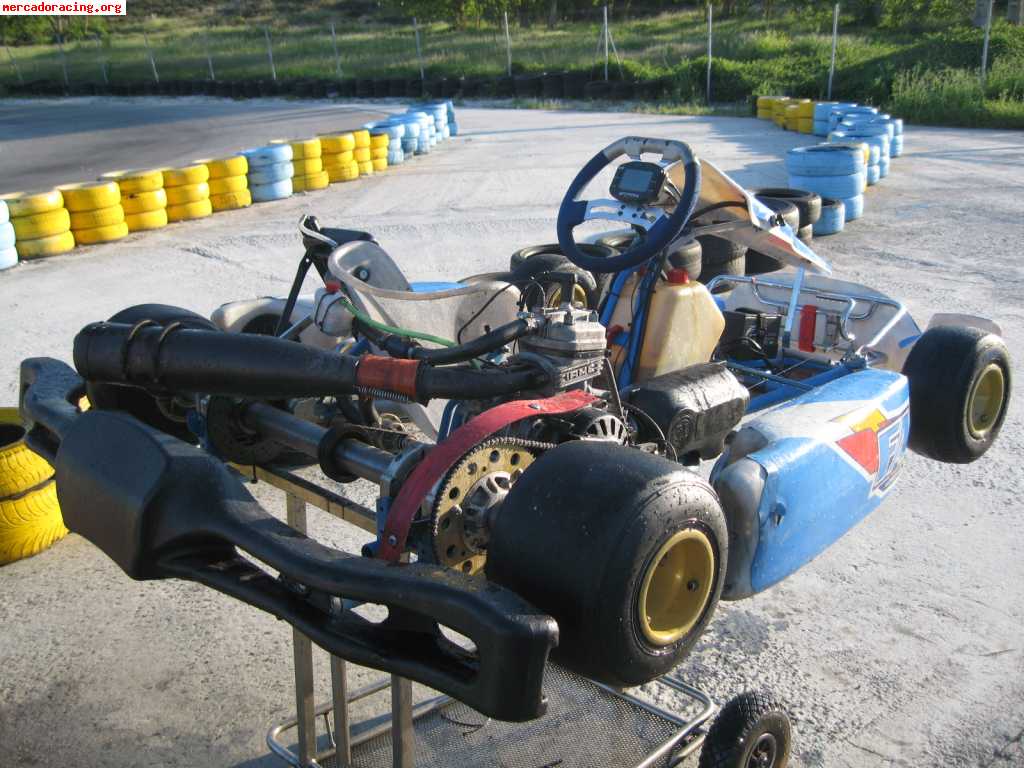 Vendo kart chasis fa(fernando alonso)del 2008 motor parilla 