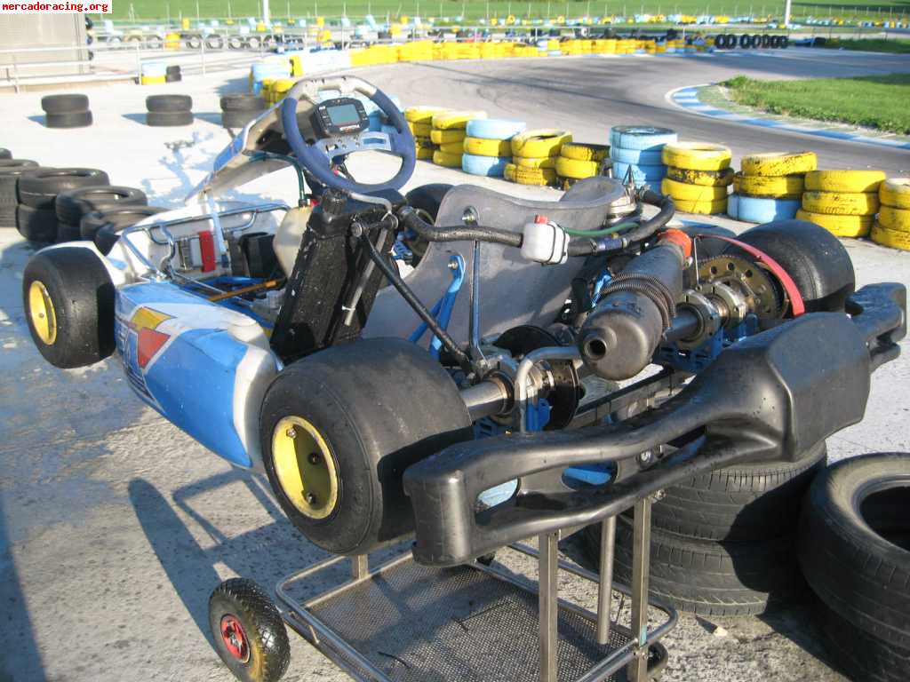 Vendo kart chasis fa(fernando alonso)del 2008 motor parilla 