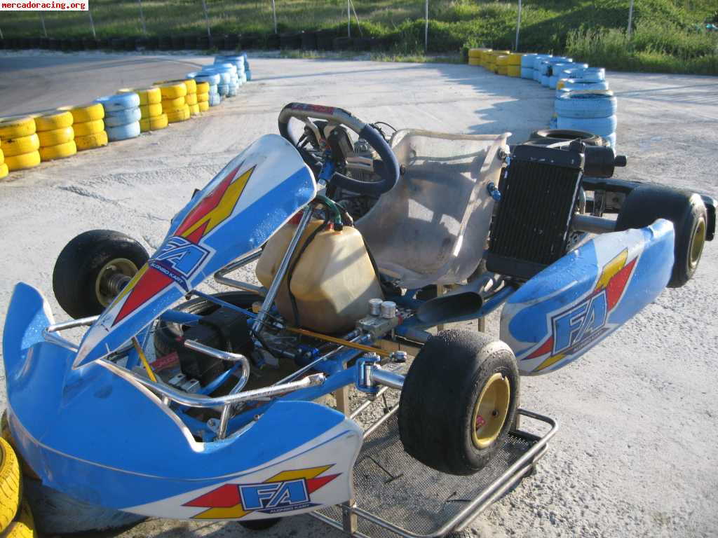 Vendo kart chasis fa(fernando alonso)del 2008 motor parilla 