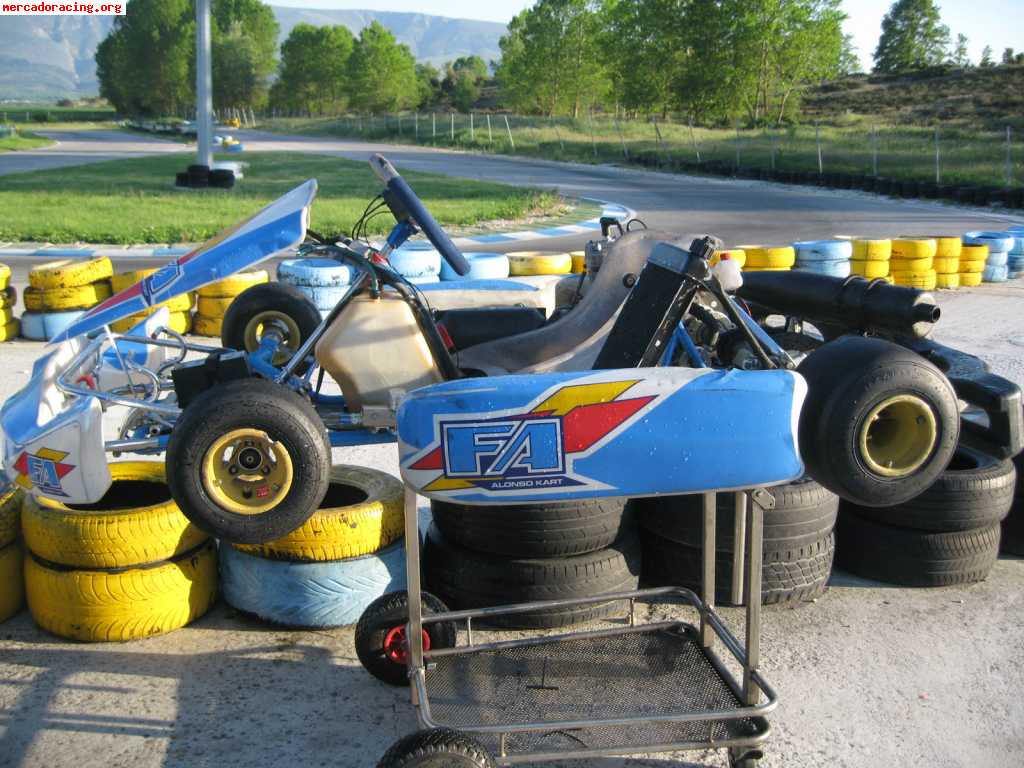 Vendo kart chasis fa(fernando alonso)del 2008 motor parilla 