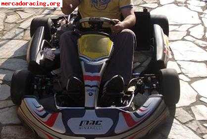 Se vende o cambia kart minarelli con motor tm k9b