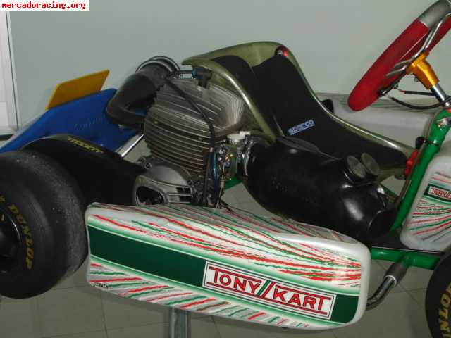 Tonu kart rocky alevin 2009