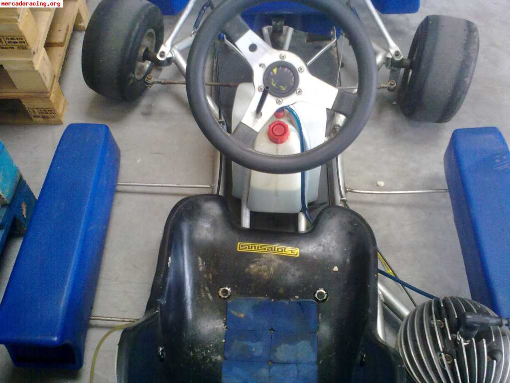 Vendo kart 100cc