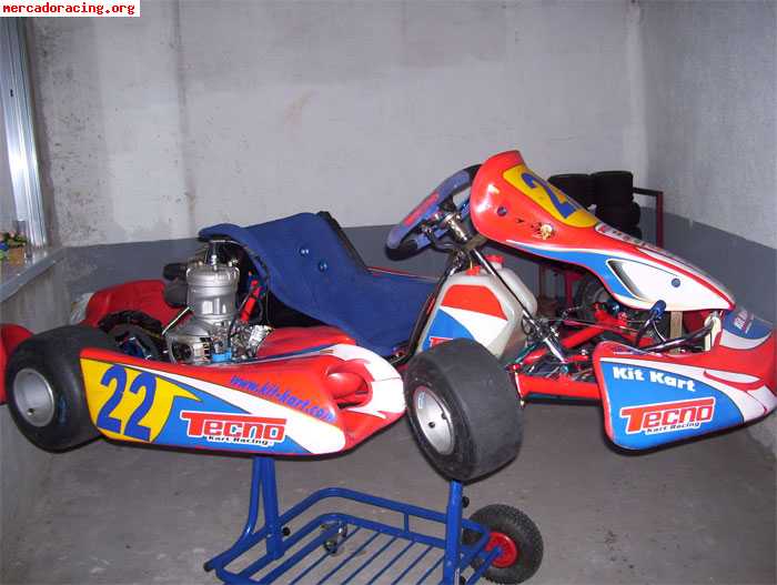 Vendo kart tecno 2008