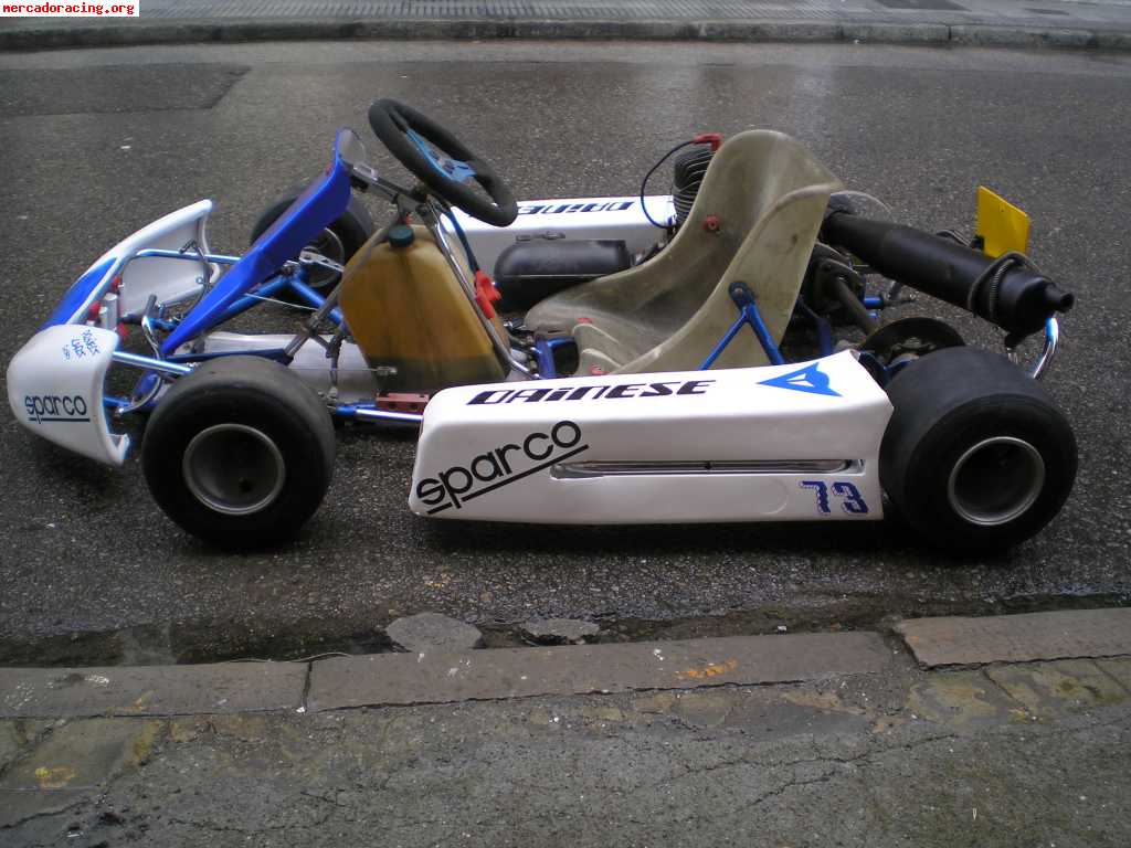 Kart yamaha 125cc vendo o cambio