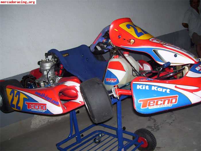 Vendo kart tecno 2008